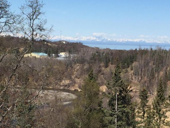16424 Happy O Ave, Ninilchik, AK 99639
